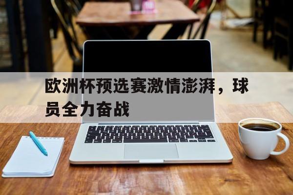 关于欧洲杯预选赛激情澎湃，球员全力奋战的信息